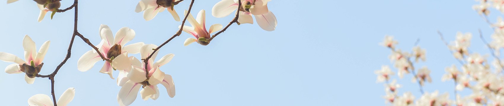 研究生会