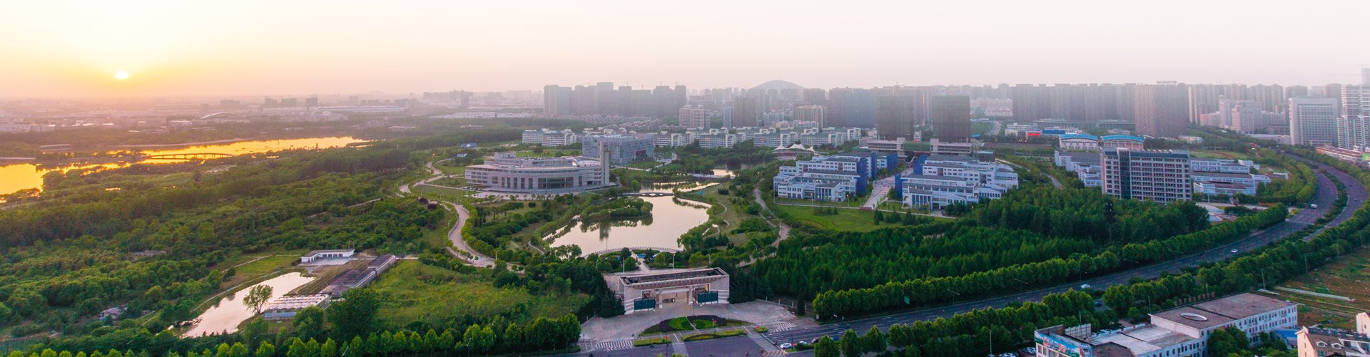 3）抑制动脉粥样硬化和血管钙化的新药